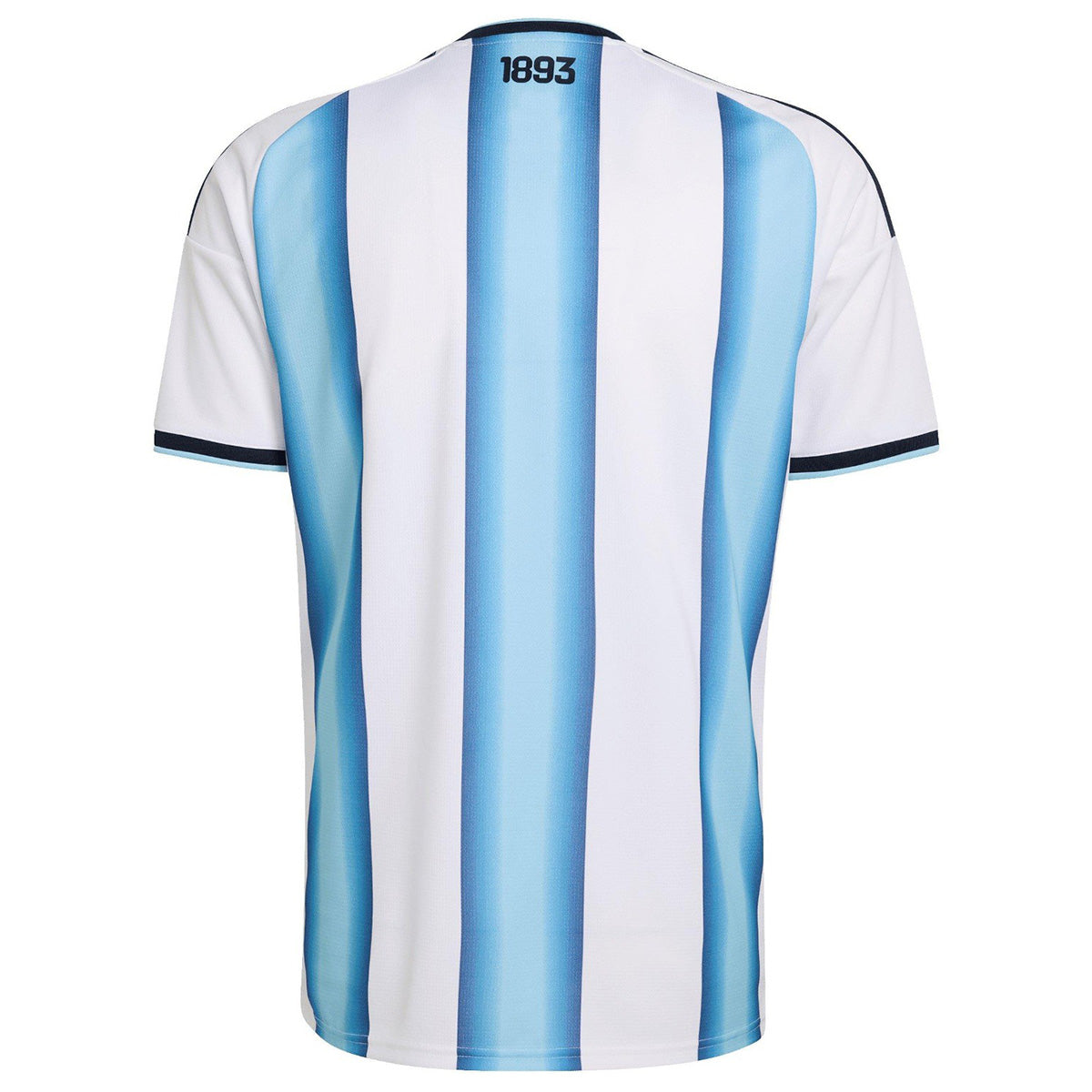 Argentine Domicile Maillot - Coupe du Monde 2026 Blue&White FIFA World Cup 2026 Final Match Edition (With Patches)