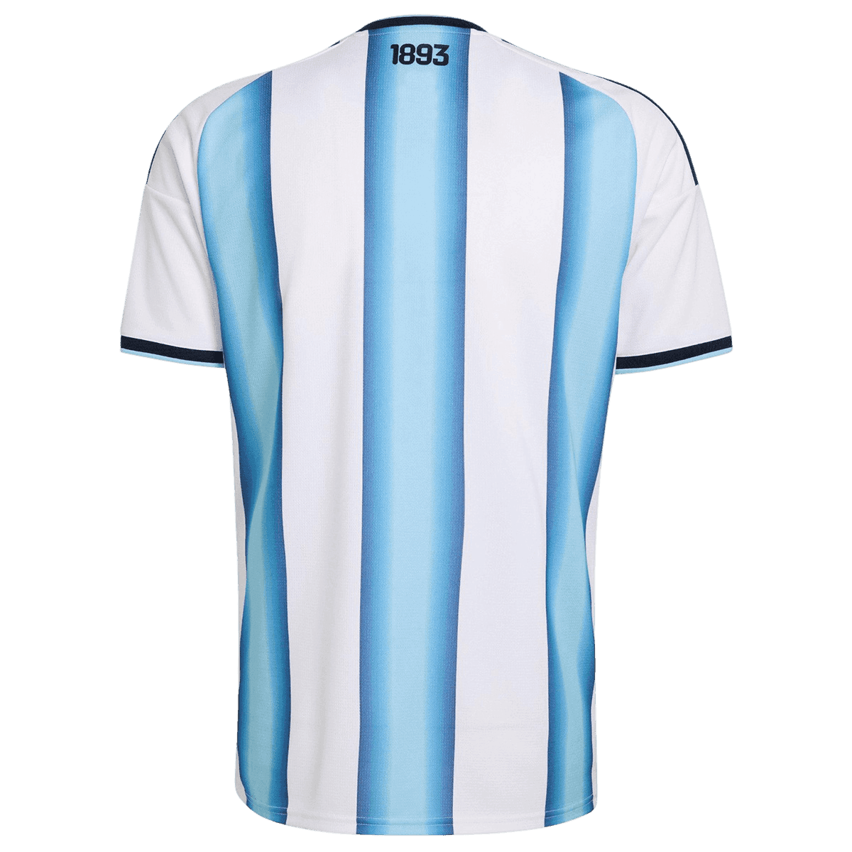 Argentine Domicile Maillot - Coupe du Monde 2026 Blue&White Joueur FIFA World Cup 2026 Final Match Edition (With Patches)